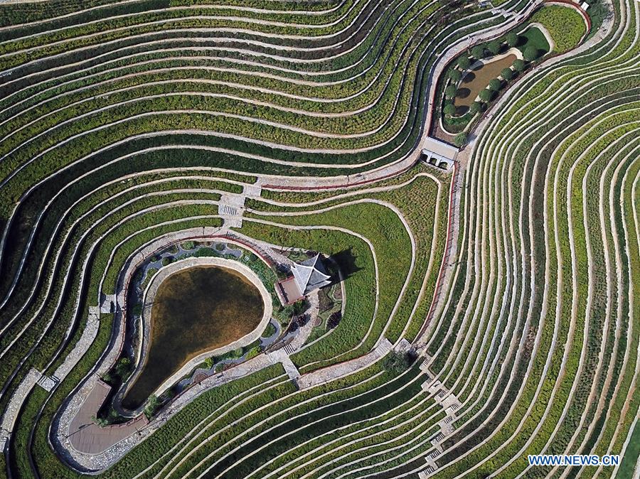 #CHINA-GUIZHOU-TERRACED FIELDS (CN)