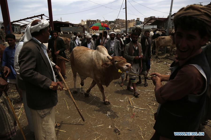 YEMEN-SANAA-EID AL-ADHA-LIVESTOCK MARKET