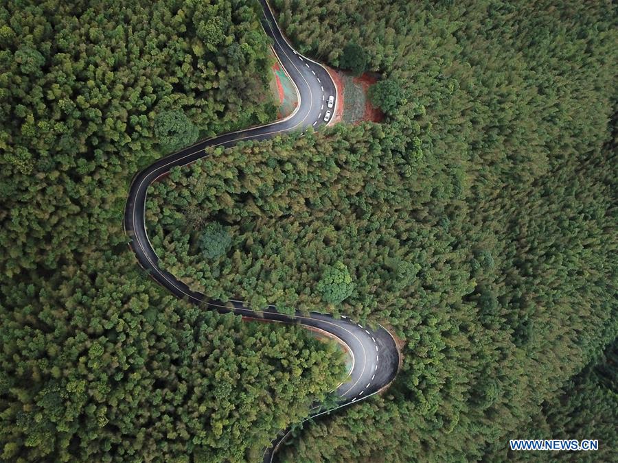 #CHINA-GUIZHOU-CHISHUI-FOREST PARK (CN*)