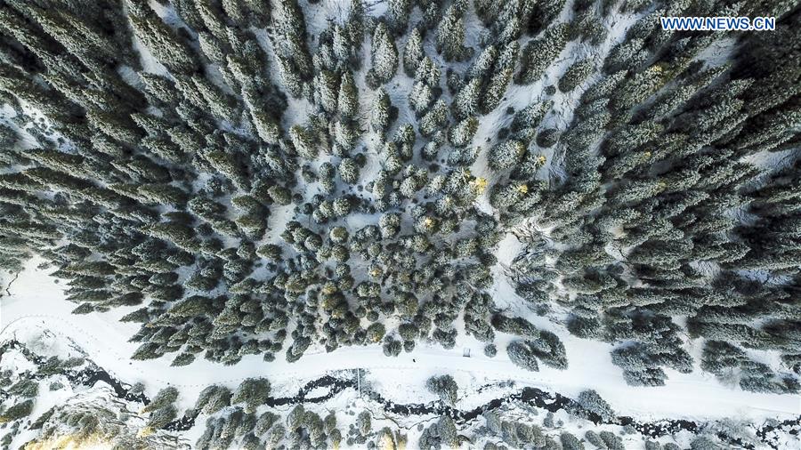 CHINA-XINJIANG-URUMQI-SNOWFALL (CN)