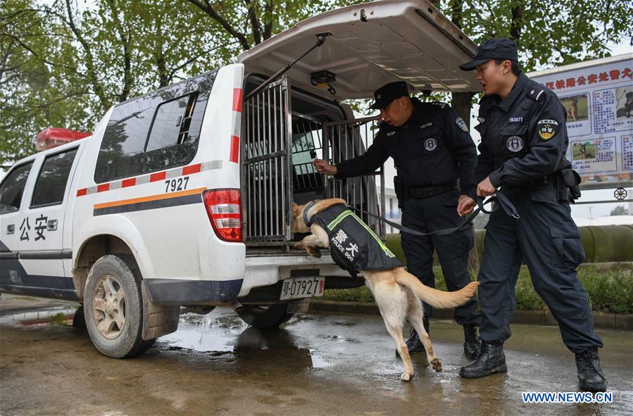 CHINA-HUBEI-WUHAN-POLICE DOG-TRAINING (CN)