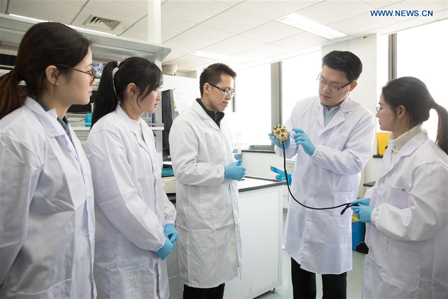 CHINA-SHANGHAI-GENE-EDITED MONKEYS (CN)