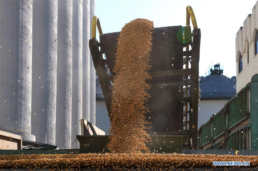 CHINA-HEILONGJIANG-HARBIN-AGRICULTURE-SOYBEAN-GRAIN PROCUREMENT (CN)