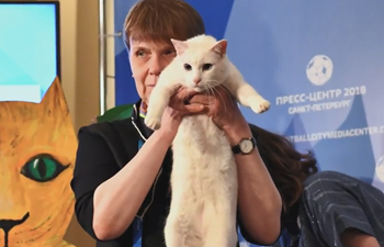 Russia&rsquo;s psychic cat Achilles correctly predicts winner in World Cup opener