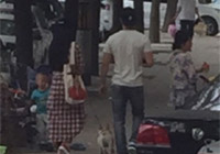 組圖：天天秀恩愛(ài)！范冰冰李晨甜蜜遛狗引圍觀