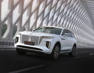 各美其美，美美與共&mdash;&mdash;2020中國企業(yè)家博鰲論壇品牌品鑒交流會側(cè)記