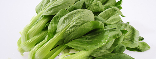 胡五岳:嚴把農(nóng)田到餐桌每一道防線