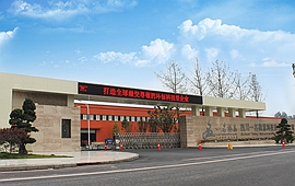 微晶閃耀，一名微晶助推建材新興產(chǎn)業(yè)升級(jí)