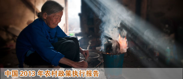 中國(guó)農(nóng)村政策執(zhí)行報(bào)告