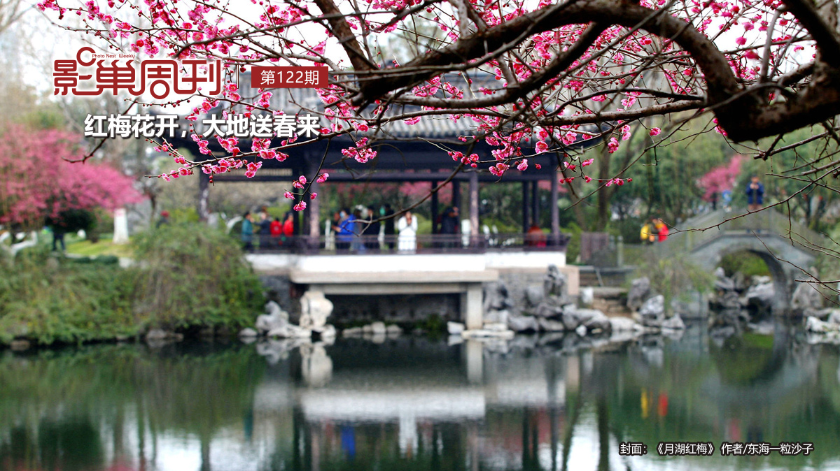 【影巢周刊】紅梅花開，大地送春來