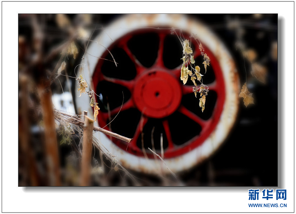 《遺世流年抹滄?！?>	</a></div>
</div>
<div   id=