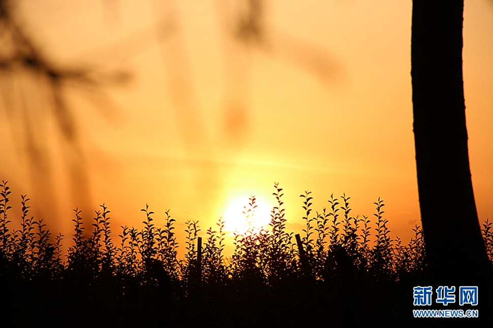 日落西山頭，人約黃昏后