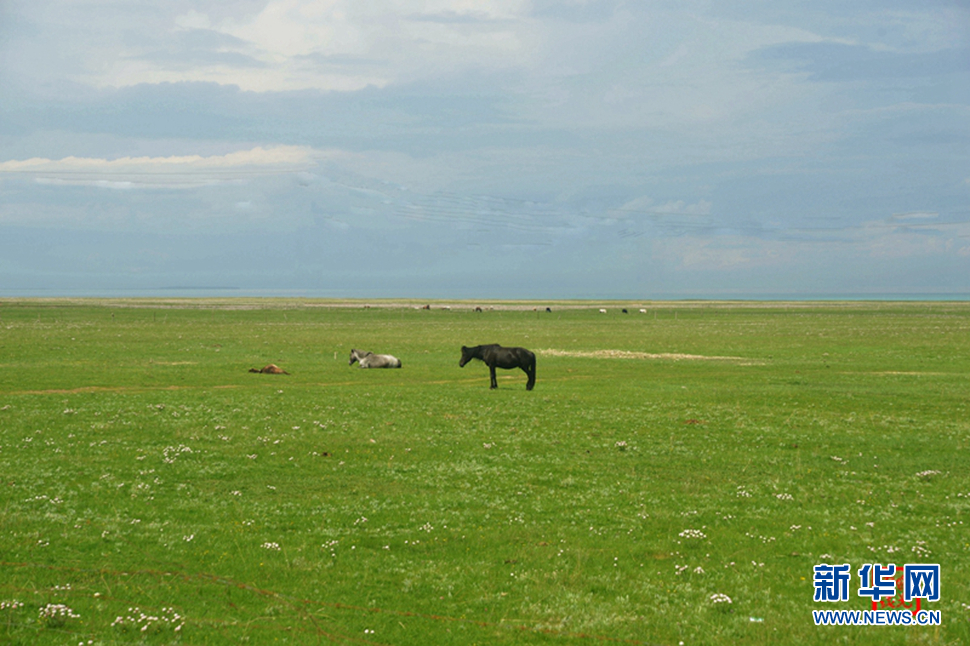 高原放歌之那山、那寺、那朵云