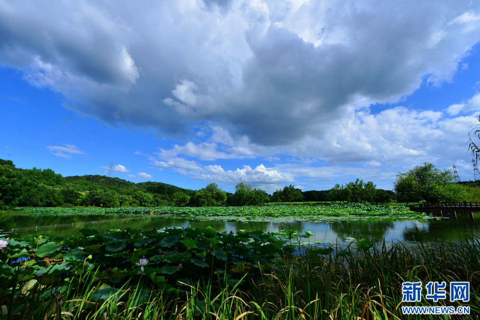 秋高氣爽，行攝八掛田