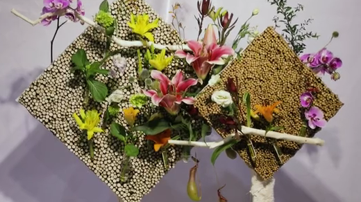 如此動(dòng)人，和百合來(lái)場(chǎng)約會(huì)吧！