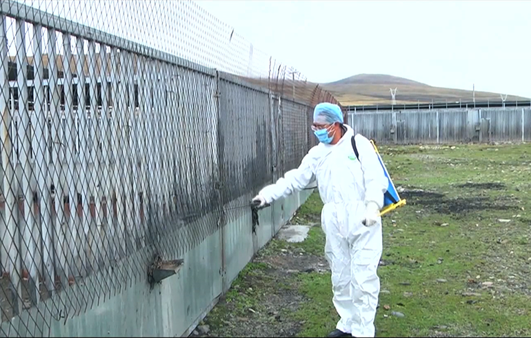 致敬偉大改革｜對(duì)話40年，講述身邊的健康故事（第二十一集）&mdash;&mdash;送瘟神