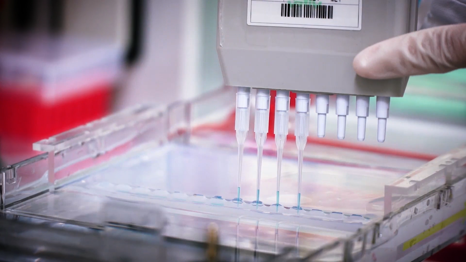 致敬偉大改革｜對話40年，講述身邊的健康故事32&mdash;打破醫(yī)學(xué)禁區(qū)，探尋生命奇跡