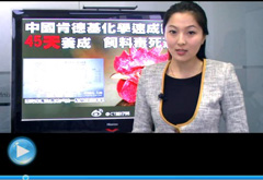 權(quán)威聲音：&ldquo;快時代&rdquo;究竟還有什么可以速成？