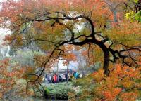 蘇州銀行獲&ldquo;理財十佳&rdquo;