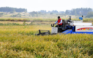 40年，小崗人的18個(gè)&ldquo;第一次&rdquo;