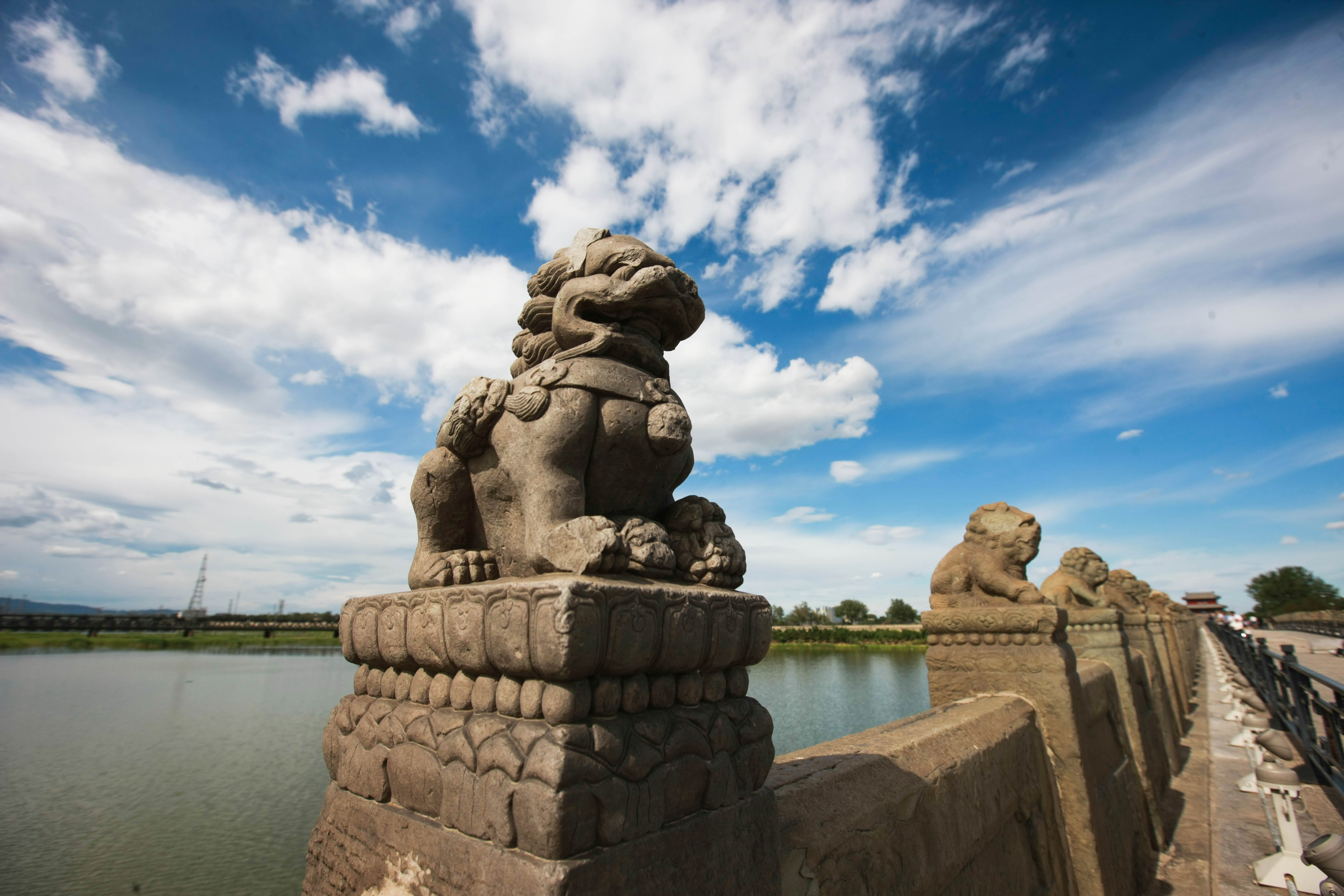 這些照片，來之不易