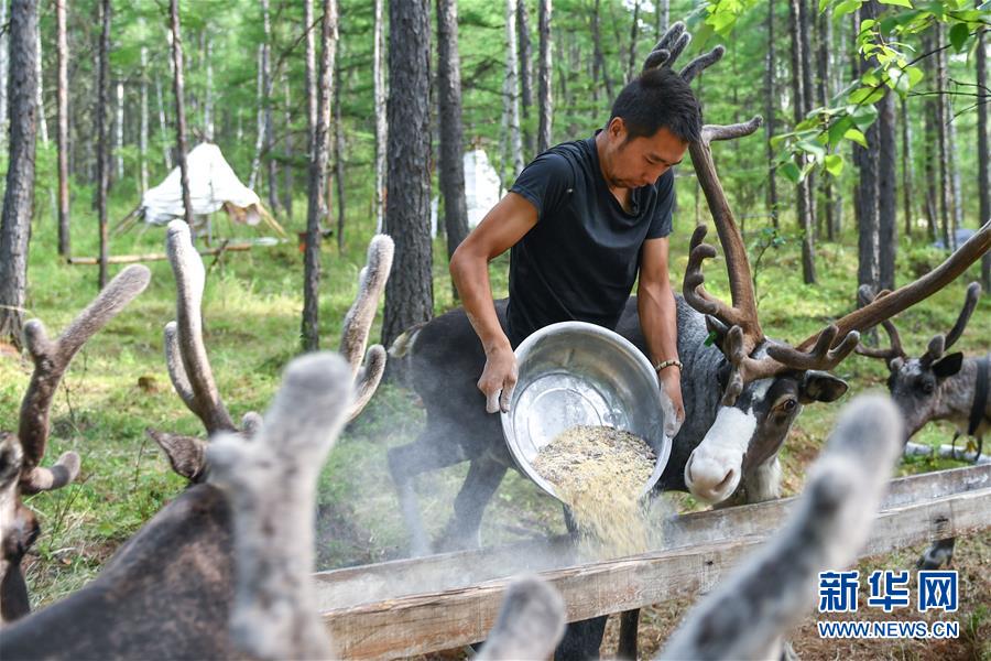 【聚焦脫貧攻堅(jiān)】這組數(shù)字，來之不易
