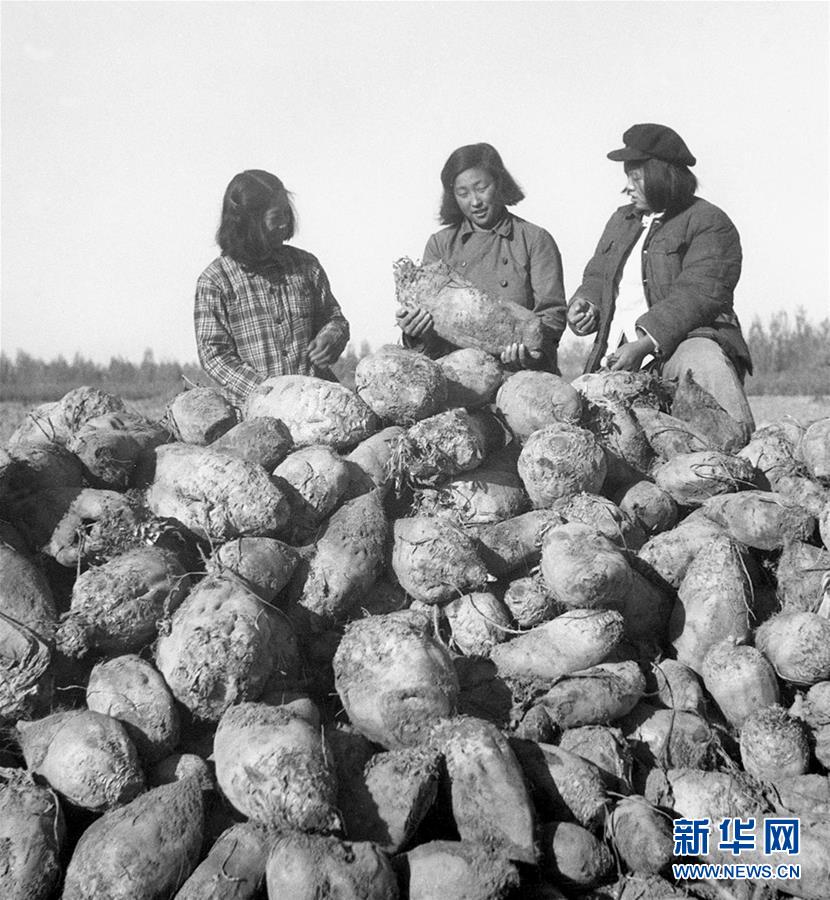 （圖文互動）（2）為了&ldquo;中國號&rdquo;巨輪揚(yáng)帆遠(yuǎn)航&mdash;&mdash;中國共產(chǎn)黨領(lǐng)導(dǎo)下的人民軍隊忠于祖國、服務(wù)人民啟示錄