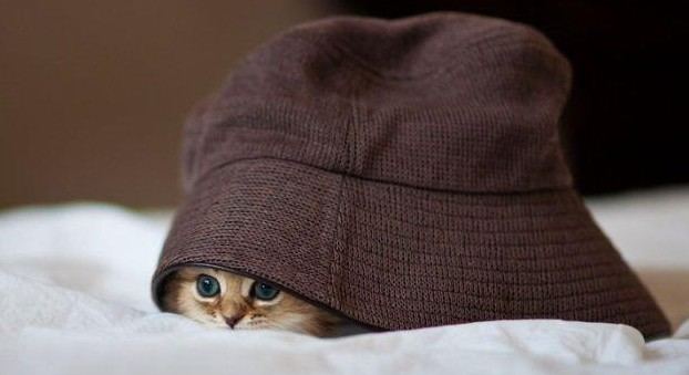 老外搞怪！facebook插圖欣賞(組圖)