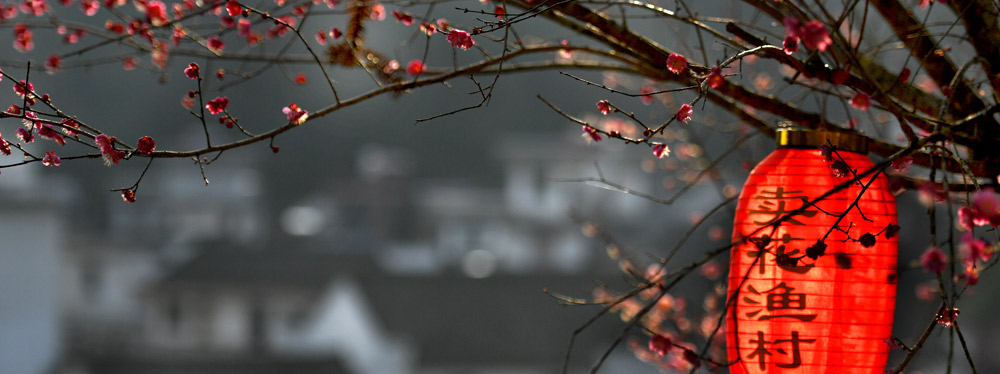 春來花開，綻放正當(dāng)時