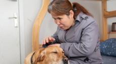 &ldquo;有你在身旁，真好&rdquo;