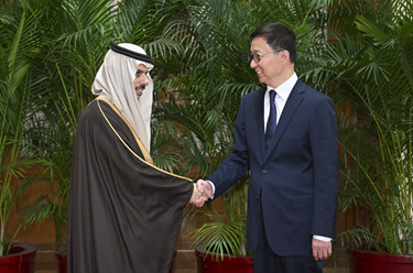 韓正集體會見阿拉伯、伊斯蘭國家外長聯(lián)合代表團(tuán)