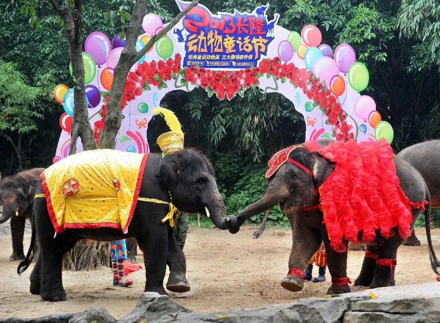 一周趣圖：&ldquo;冰凍&rdquo;演唱會(huì) 大象婚禮