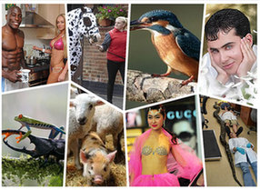 一周趣聞：伊拉克18歲大學(xué)生自稱(chēng)地球上最帥男人