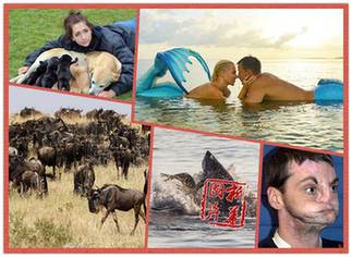 一周趣圖：&ldquo;美人魚(yú)情侶&rdquo;海底上演唯美愛(ài)情