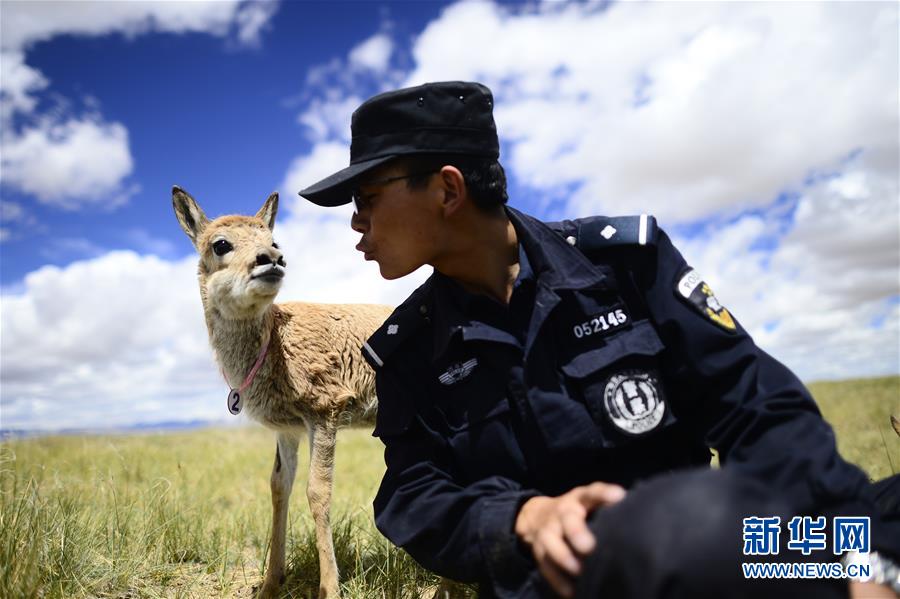 （十九大&middot;讀報(bào)告 話民生）（8）加快生態(tài)文明體制改革，建設(shè)美麗中國(guó)