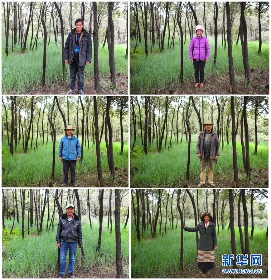 （十九大&middot;讀報(bào)告 話民生）（9）加快生態(tài)文明體制改革，建設(shè)美麗中國