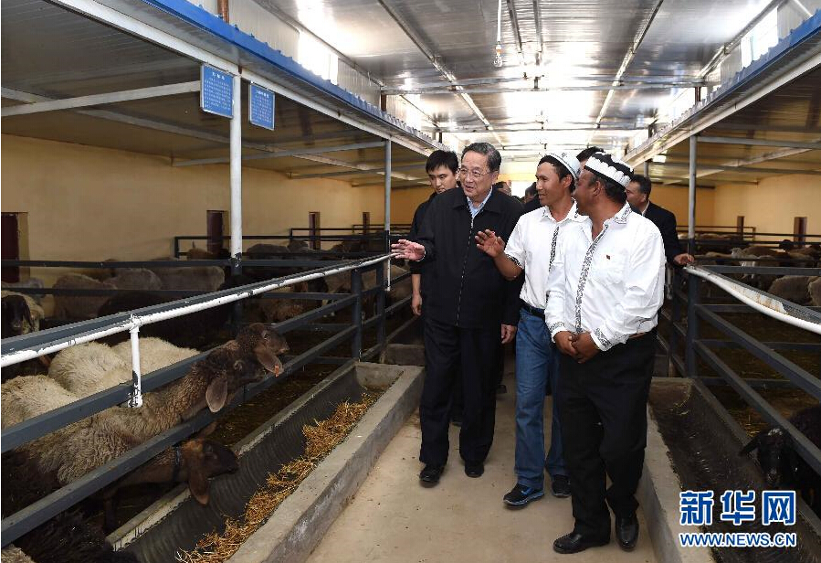 9月27日，中共中央政治局常委、全國政協(xié)主席、中央代表團(tuán)團(tuán)長俞正聲率中央代表團(tuán)部分成員赴喀什地區(qū)莎車縣看望各族干部群眾。這是俞正聲在新疆生產(chǎn)建設(shè)兵團(tuán)第三師莎車農(nóng)場實(shí)地察看萬只羊養(yǎng)殖基地。新華社記者 饒愛民 攝