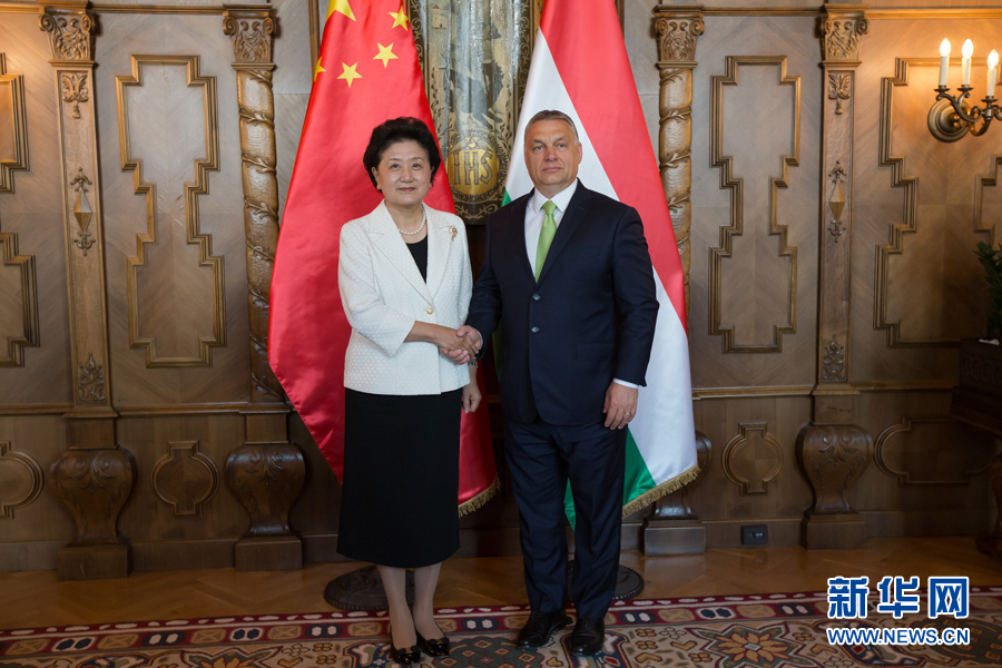  6月21日，國務(wù)院副總理劉延?xùn)|（左）在匈牙利布達(dá)佩斯國會大廈會見匈牙利總理歐爾班。 新華社發(fā)（弗爾季&middot;奧蒂洛攝）