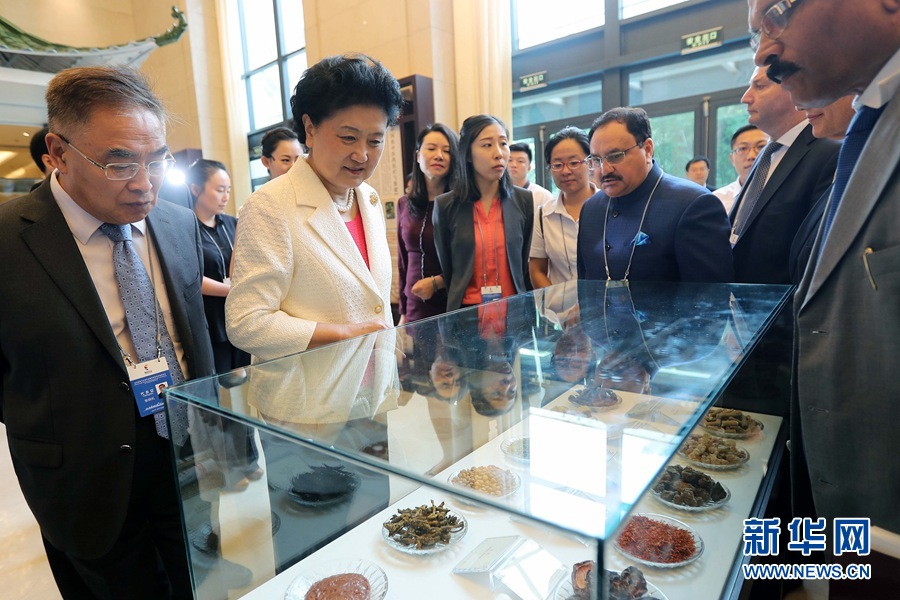 7月6日，金磚國家衛(wèi)生部長會暨傳統(tǒng)醫(yī)藥高級別會議在天津開幕。這是國務(wù)院副總理劉延?xùn)|與外賓一起參觀傳統(tǒng)醫(yī)藥文化展。 新華社記者 張玉薇 攝