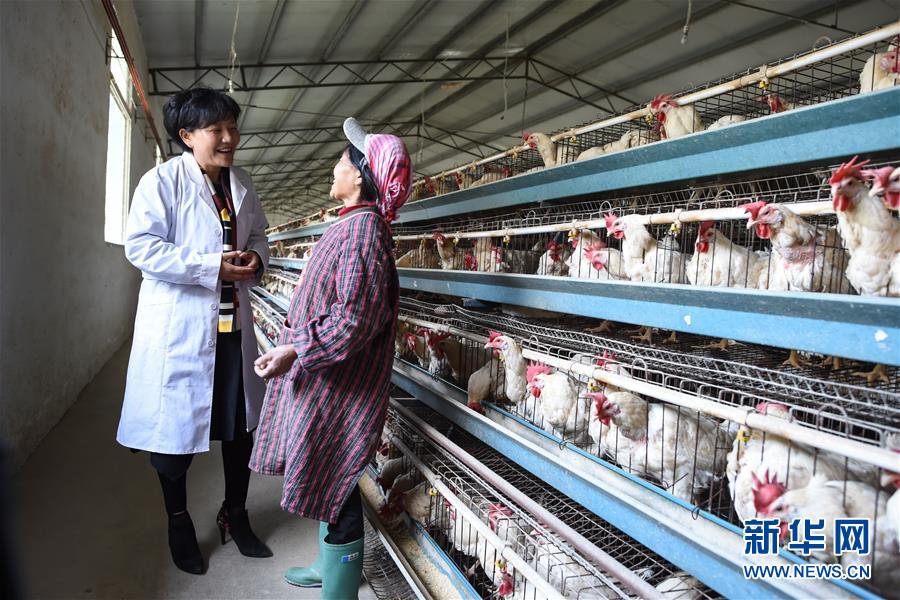 （十九大代表回基層&middot;圖文互動）（1）擺脫貧困后，還應(yīng)有更高的精神追求&mdash;&mdash;十九大代表余留芬的&ldquo;宣講時光&rdquo;