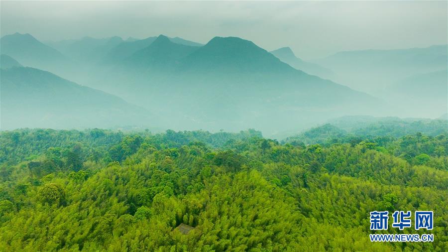 （新華全媒頭條&middot;圖文互動）（9）赤水：別了，貧困！