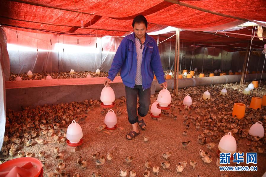 （新華全媒頭條&middot;圖文互動）（8）赤水：別了，貧困！