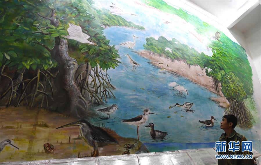 （圖文互動(dòng)）（5）十年樹木、紅樹成林&mdash;&mdash;&ldquo;海上森林&rdquo;回歸記