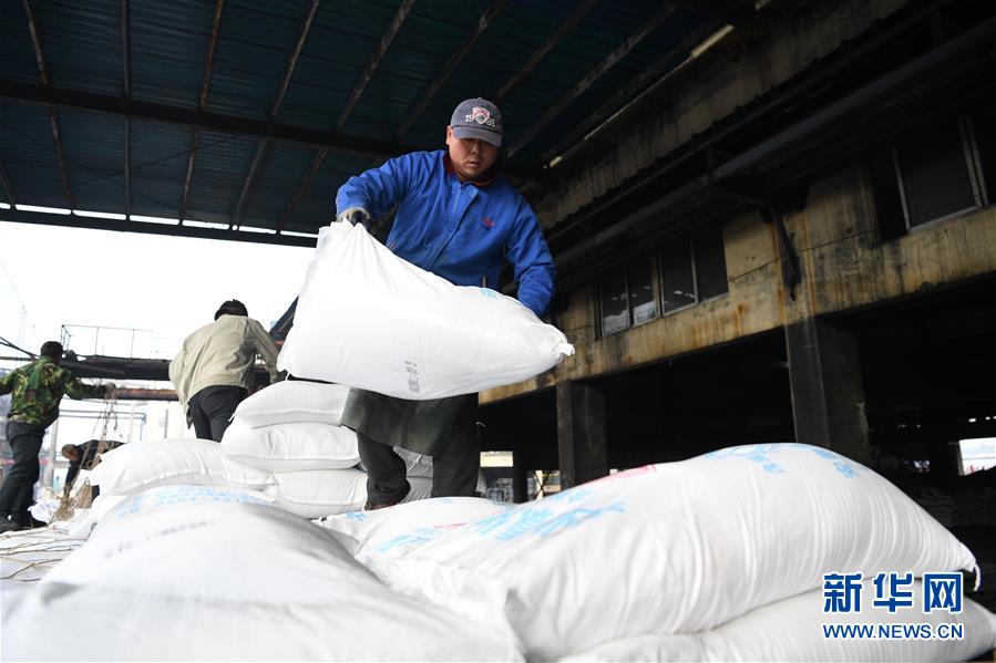 (新春走基層)(8)安徽:農(nóng)資“春運(yùn)”助春耕