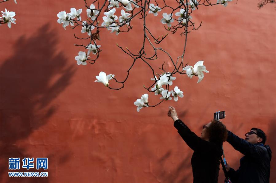 （在習(xí)近平新時代中國特色社會主義思想指引下&mdash;&mdash;新時代新氣象新作為&middot;新華全媒頭條&middot;圖文互動）（1）最濃是這中國紅&mdash;&mdash;北京市西城區(qū)弘揚(yáng)紅墻意識深化改革發(fā)展紀(jì)實