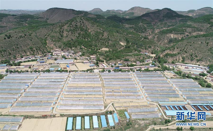 （壯闊東方潮 奮進新時代&mdash;&mdash;慶祝改革開放40年）（7）退耕還林20年 延安大地譜新篇