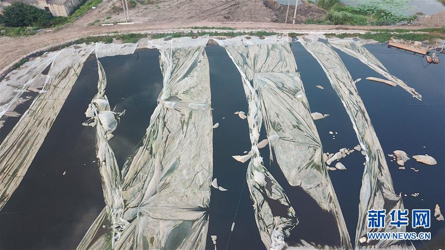 （新華視點(diǎn)&middot;圖文互動(dòng)）（4）中央督察兩年有的絲毫未改，有的不減反增&mdash;&mdash;江蘇泰興數(shù)萬噸化工廢料和污泥堆放長江邊調(diào)查