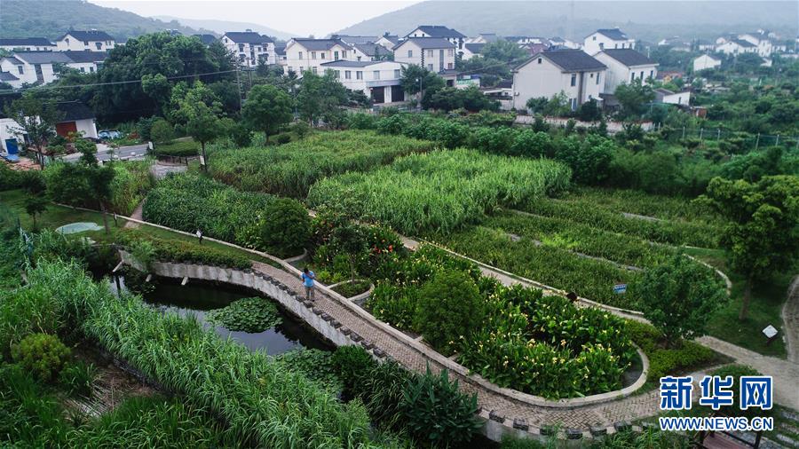 （在習(xí)近平新時代中國特色社會主義思想指引下&mdash;&mdash;新時代新作為新篇章&middot;圖文互動）（1）稀奇！治污濕地成了休閑公園&mdash;&mdash;江蘇蘇州全域推進農(nóng)村生活污水治理