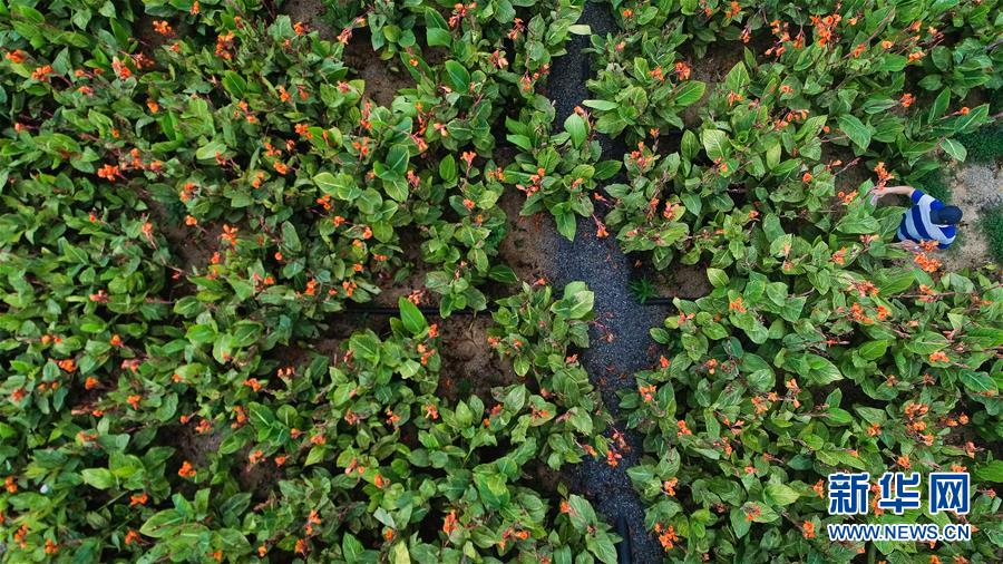 （在習(xí)近平新時代中國特色社會主義思想指引下&mdash;&mdash;新時代新作為新篇章&middot;圖文互動）（5）稀奇！治污濕地成了休閑公園&mdash;&mdash;江蘇蘇州全域推進(jìn)農(nóng)村生活污水治理