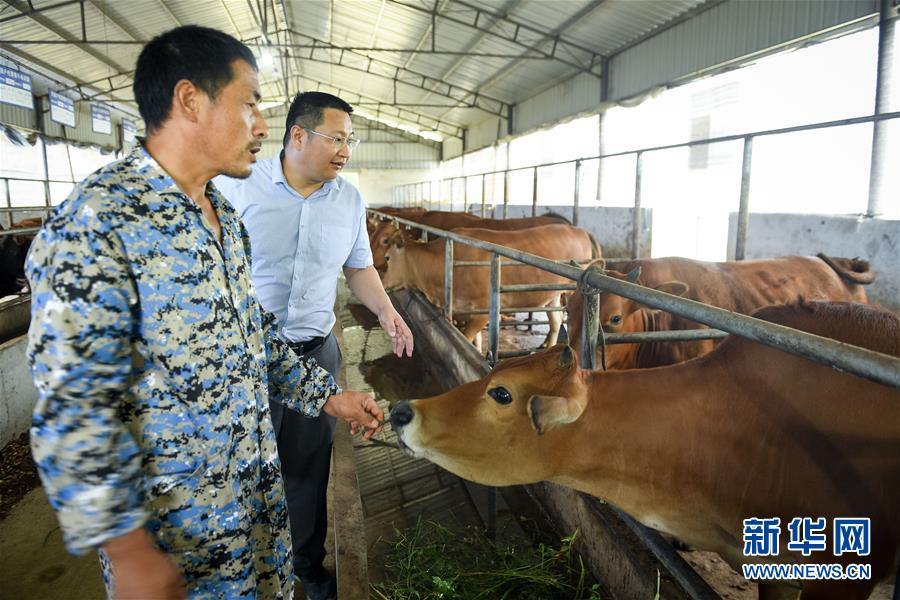 （脫貧攻堅(jiān)&middot;圖文互動(dòng)）（2）&ldquo;不畏難、不畏煩、不畏苦&rdquo;&mdash;&mdash;記&ldquo;80后&rdquo;扶貧干部李朝陽(yáng)